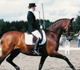 Nina och Romeo K Breeders Trophy Final -05