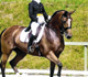 Nina och Tara Norway Grand Prix -04